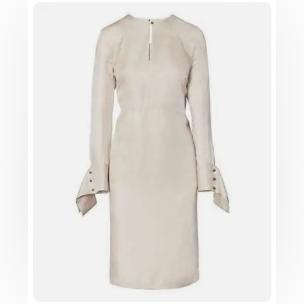 Banana Republic Heritage collection Silk Seam Midi Sheath Dress Champagne